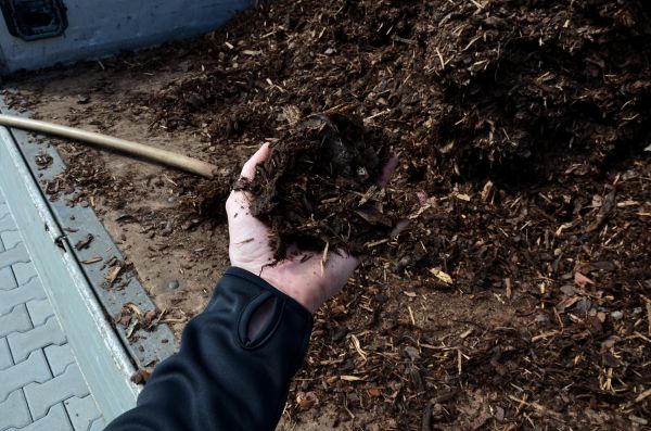 Condo Mulching in New York