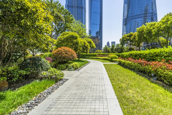 Commercial Landscaping in New York