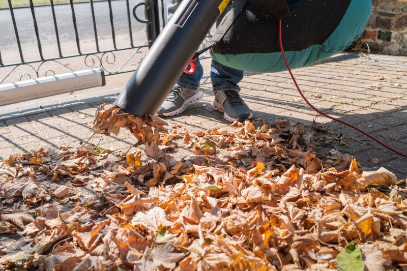 Leaf Blowing Services