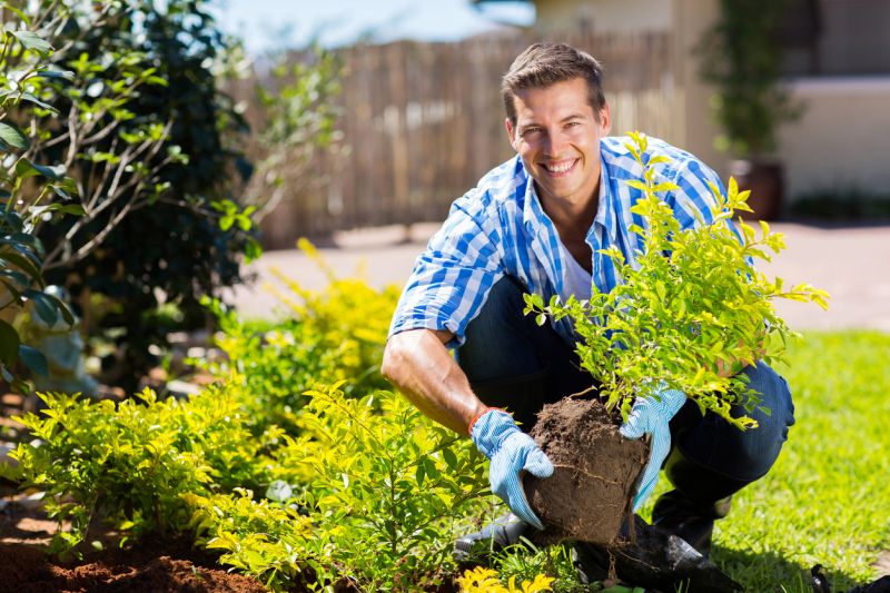 Landscaping with Trees and Shrubs