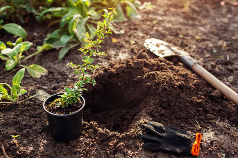 Perennial Flower Planting