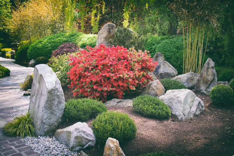 Rock Landscaping